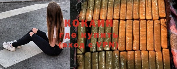 МДПВ Абаза