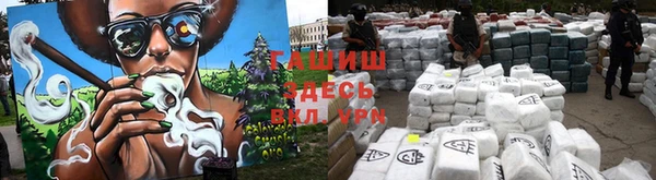 сатива Абинск