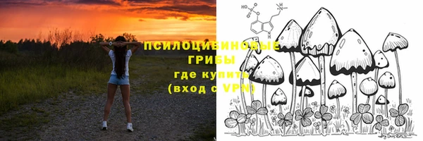 a pvp Абдулино