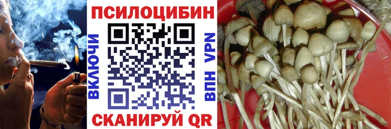 Галлюциногенные грибы Psilocybe  Лосино-Петровский 